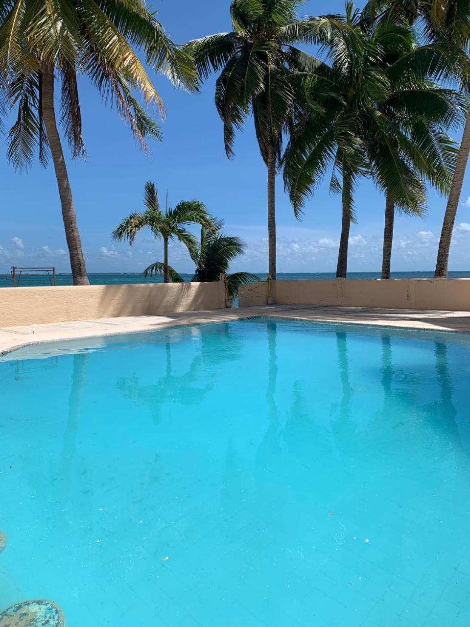 Cancun Ocean View Flamingo Plus Oda fotoğraf