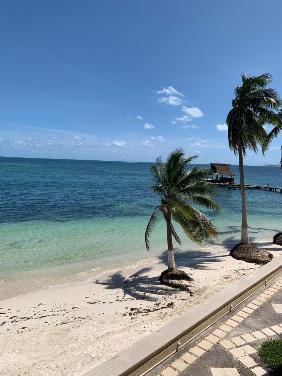 Cancun Ocean View Flamingo Plus Dış mekan fotoğraf