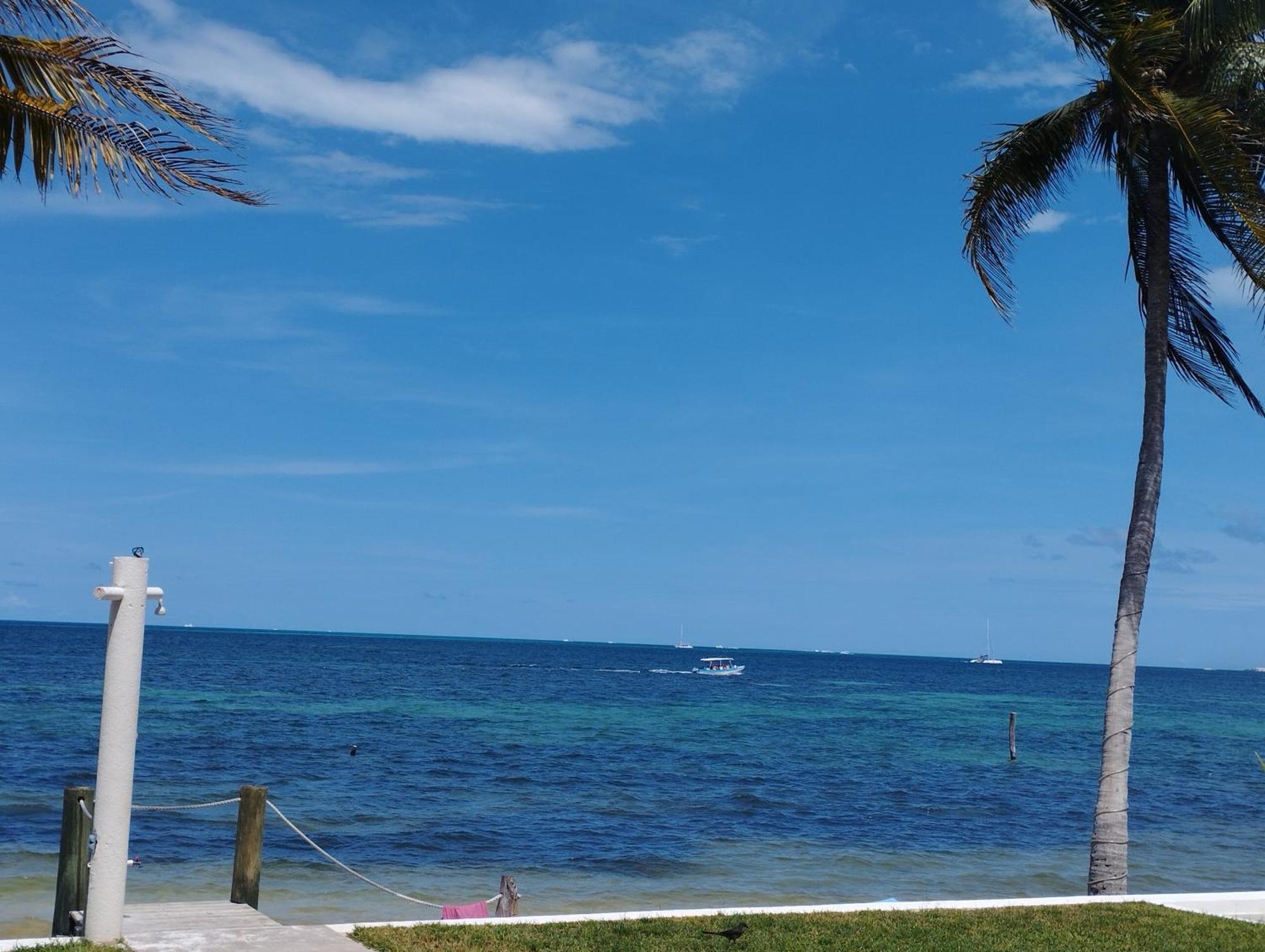 Cancun Ocean View Flamingo Plus Dış mekan fotoğraf